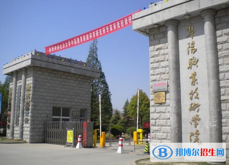 阜阳8
