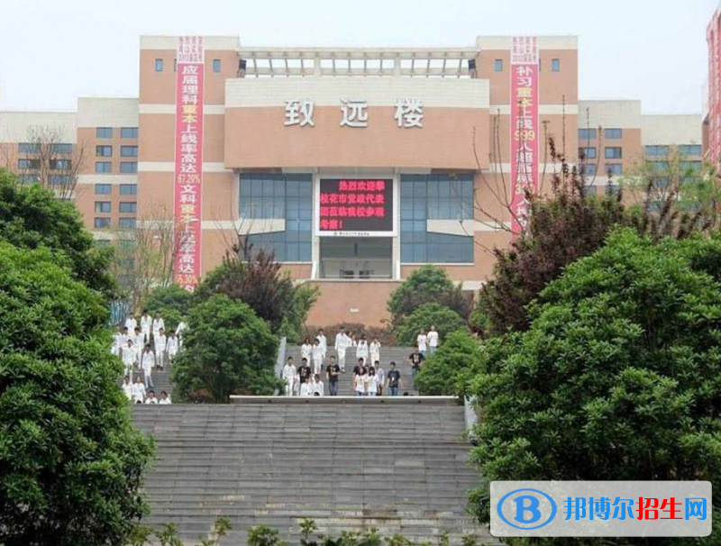 绵11