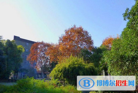 武汉农业学校4