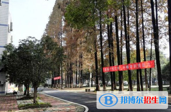 武汉农业学校5