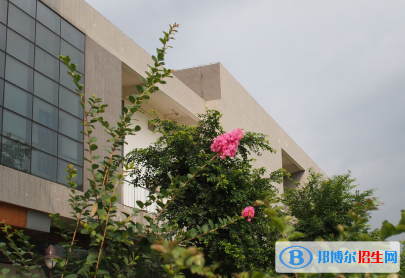 广西2020年到哪里读铁路学校好