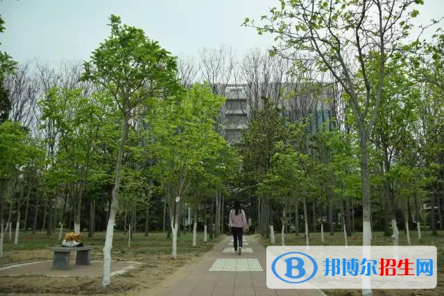 濮阳13