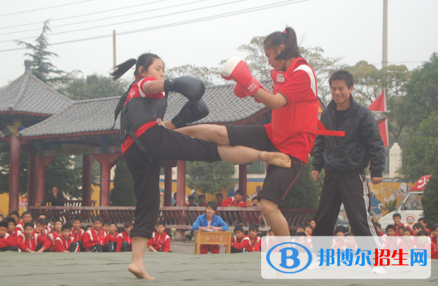 少林寺释小龙武术中等专业学校网站网址