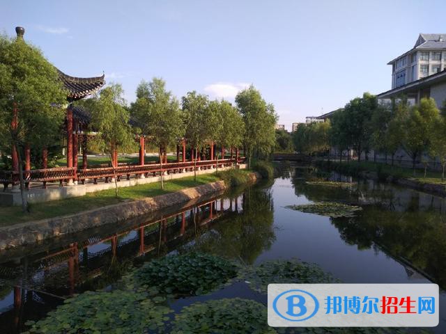 信阳8