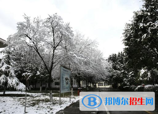 重庆2022年大专学校有铁路学校