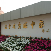 辽宁实验中学国际部