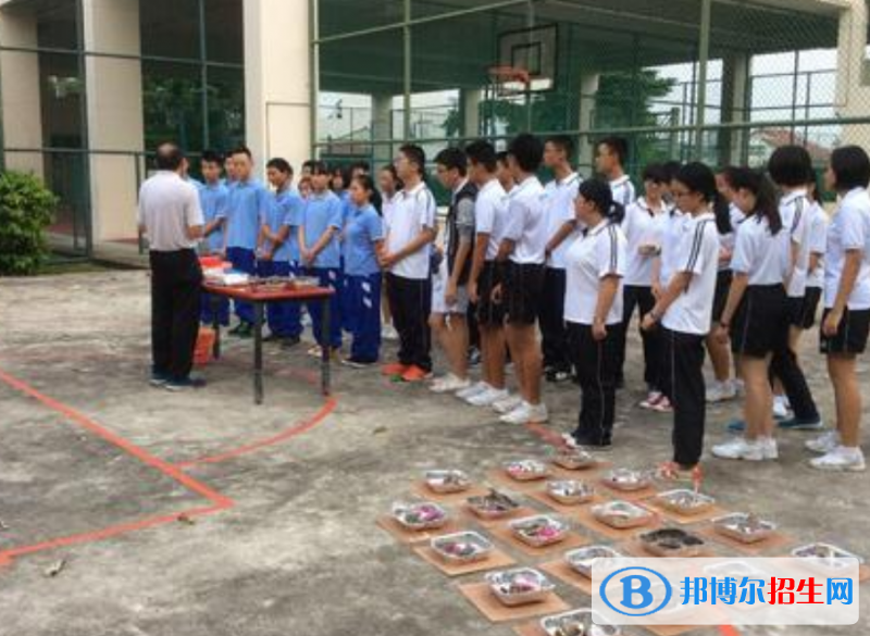华11
