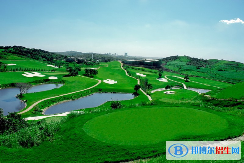 辽宁13