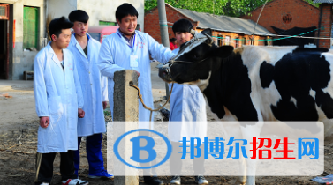 甘南畜牧学校2020年学费、收费多少