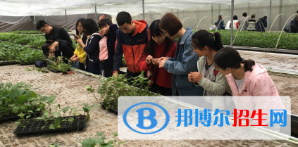 甘南畜牧学校网站网址  
