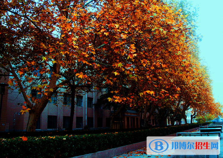郑州工业贸易学校2021年招生办联系电话