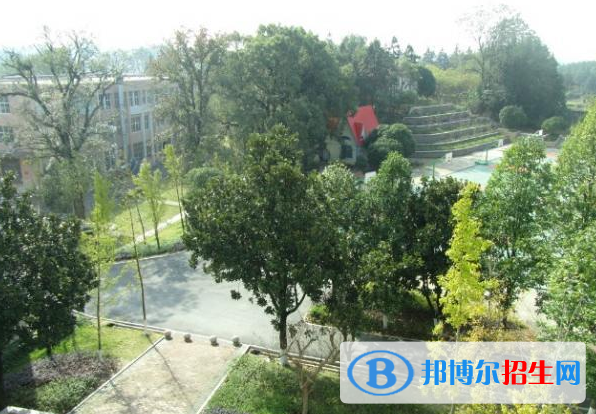 QQ截图20200102131353