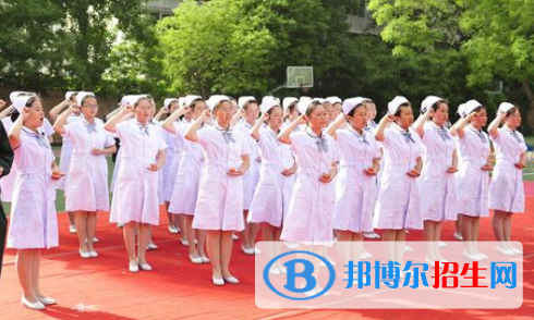 兰州护士学校2020年招生办联系电话