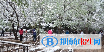 甘肃金城理工中等专业学校2020年招生录取分数线