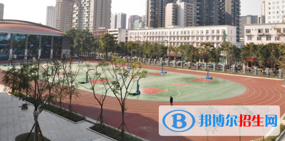 树德中学国际部