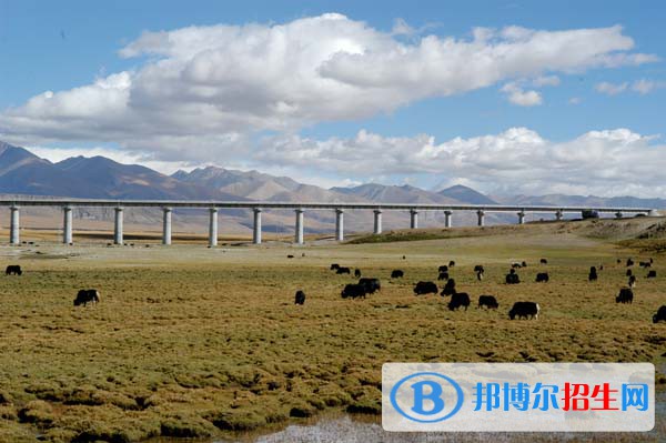 成都2020年女生上铁路学校学什么好