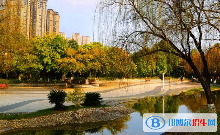 绵阳东辰国际学校高中部