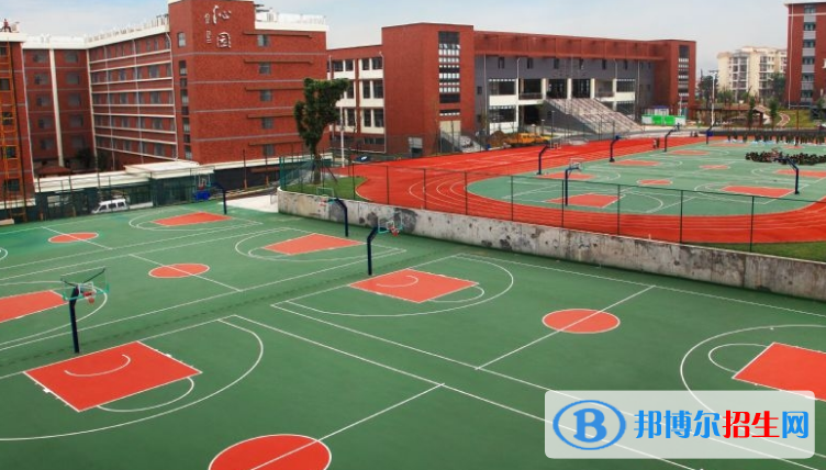 绵阳东辰国际学校高中部