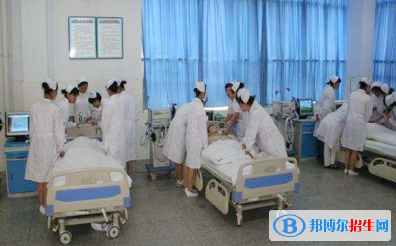 QQ截图20200203120817