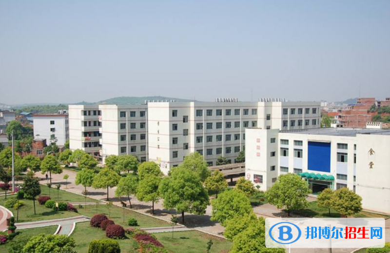 QQ截图20200204135029