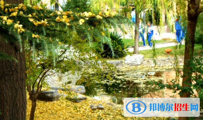 北京师范大学第二附属中学国际部