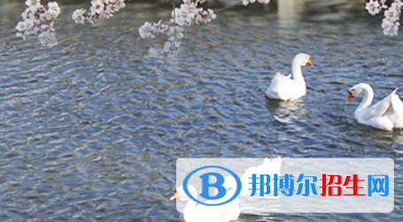 北京第一〇一中学国际高中部