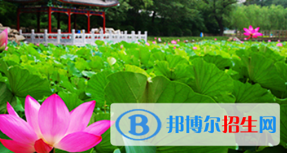 北京第一〇一中学国际高中部