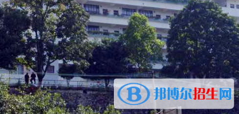 广西梧州财经学校2020年有哪些专业