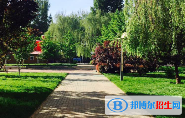 北京中关村国际学校