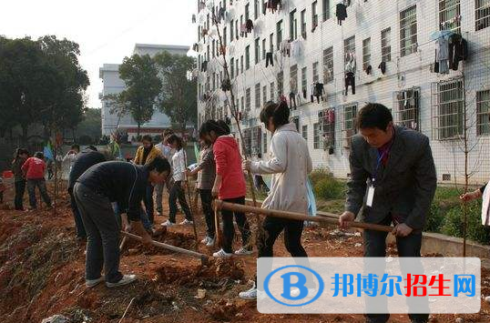 QQ截图20200212155849
