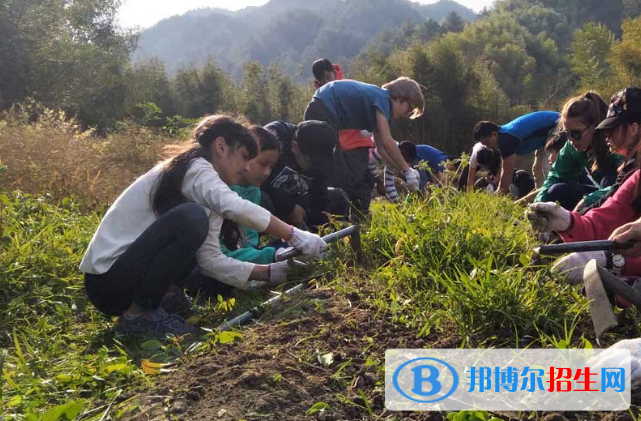 北京加拿大国际学校