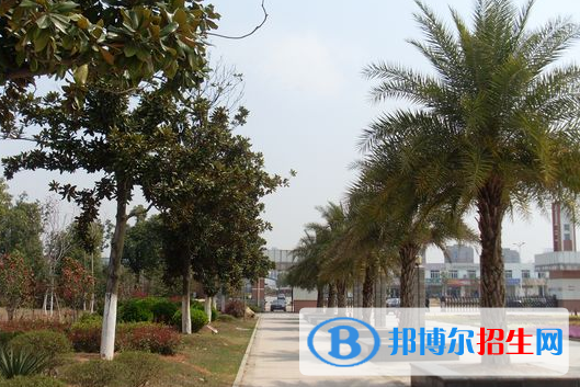 南昌二中中加国际高中2020年学费、收费多少