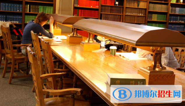 上海常青藤学校