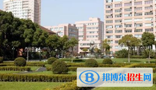 上海常青藤学校
