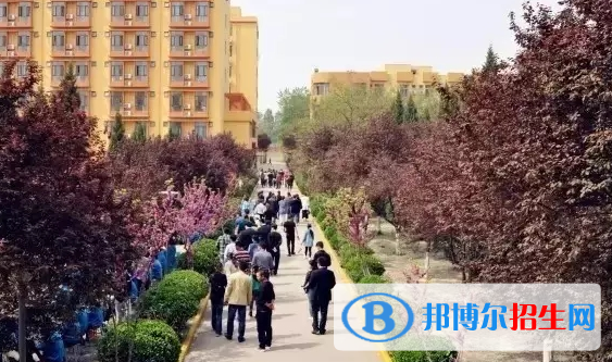 西安博爱国际学校网站网址
