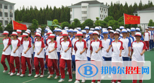 新虹桥中学国际部
