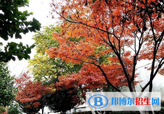 建德千岛交通职业学校怎么样、好不好