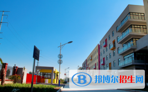 河南师大附中双语国际学校2020年招生简章