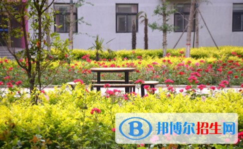河南师大附中双语国际学校2020年报名条件、招生要求、招生对象