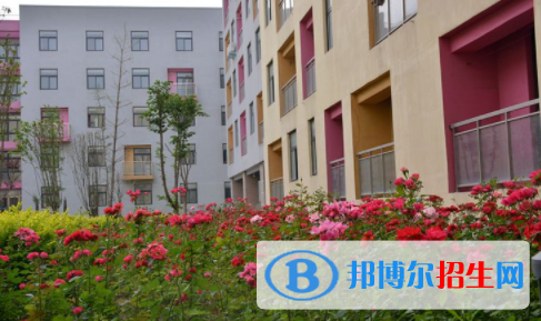 河南师大附中双语国际学校2020年招生办联系电话