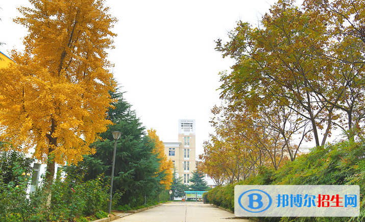 郑州郑中国际学校2020年学费、收费多少