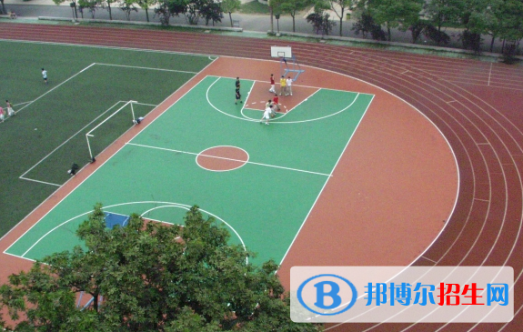 武汉外国语学校2020年招生计划