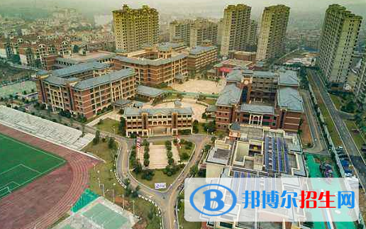 宁乡碧桂园学校2020年招生计划