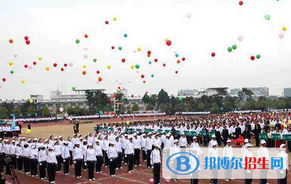 厦门岷厦国际学校网站网址