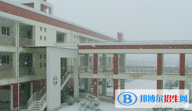 合肥世界外国语学校2020年招生办联系电话