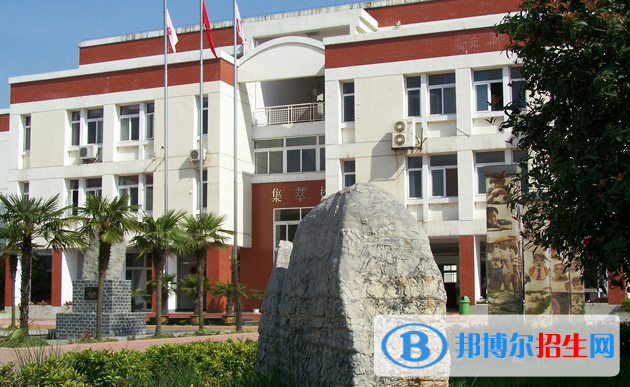 合肥世界外国语学校地址在哪里