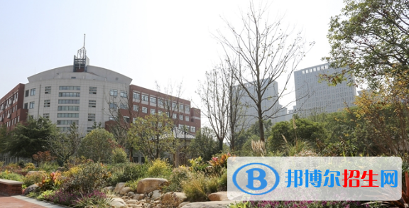 合肥润安公学2020年招生计划