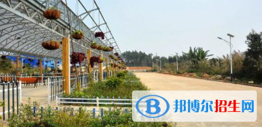 广西水利电力职业技术学院2020年招生简章