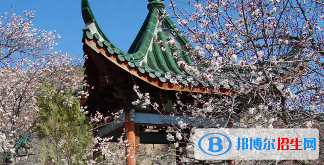 定西师范高等专科学校网站网址