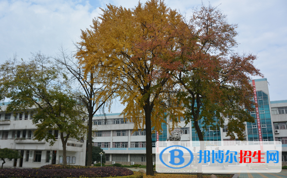 江苏前黄高级中学国际分校网站网址